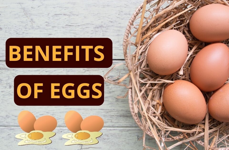 Benefits OF Eggs