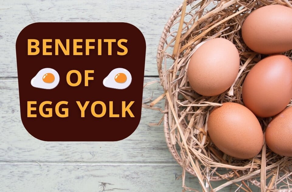 Benefits Of Egg Yolk