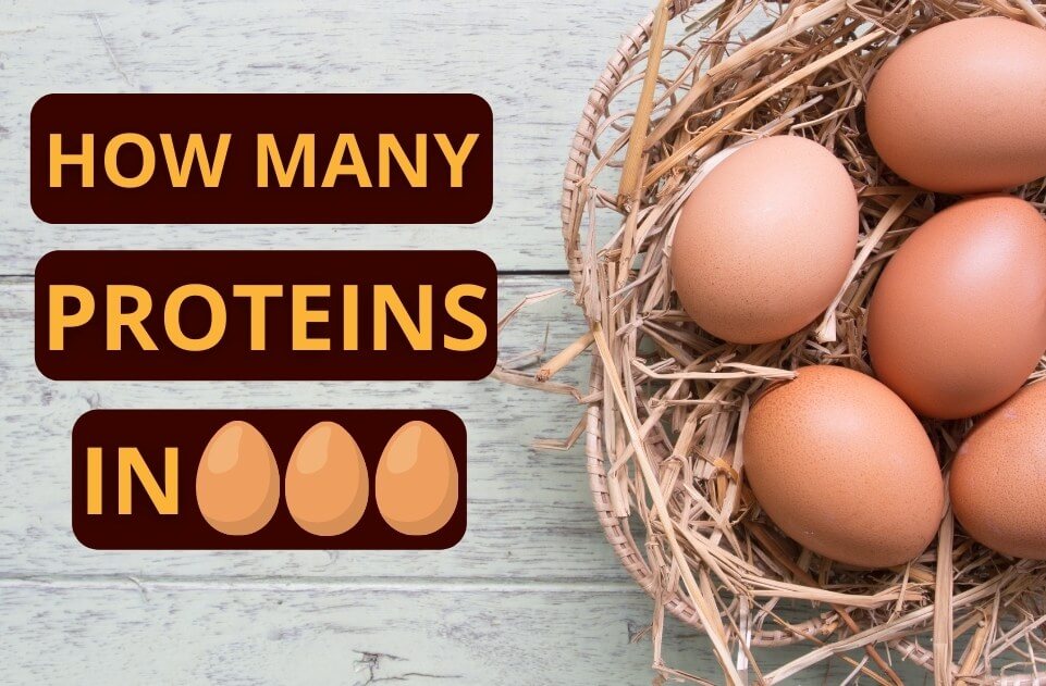 How Many Proteins In Egg White? | Composition Of Egg White