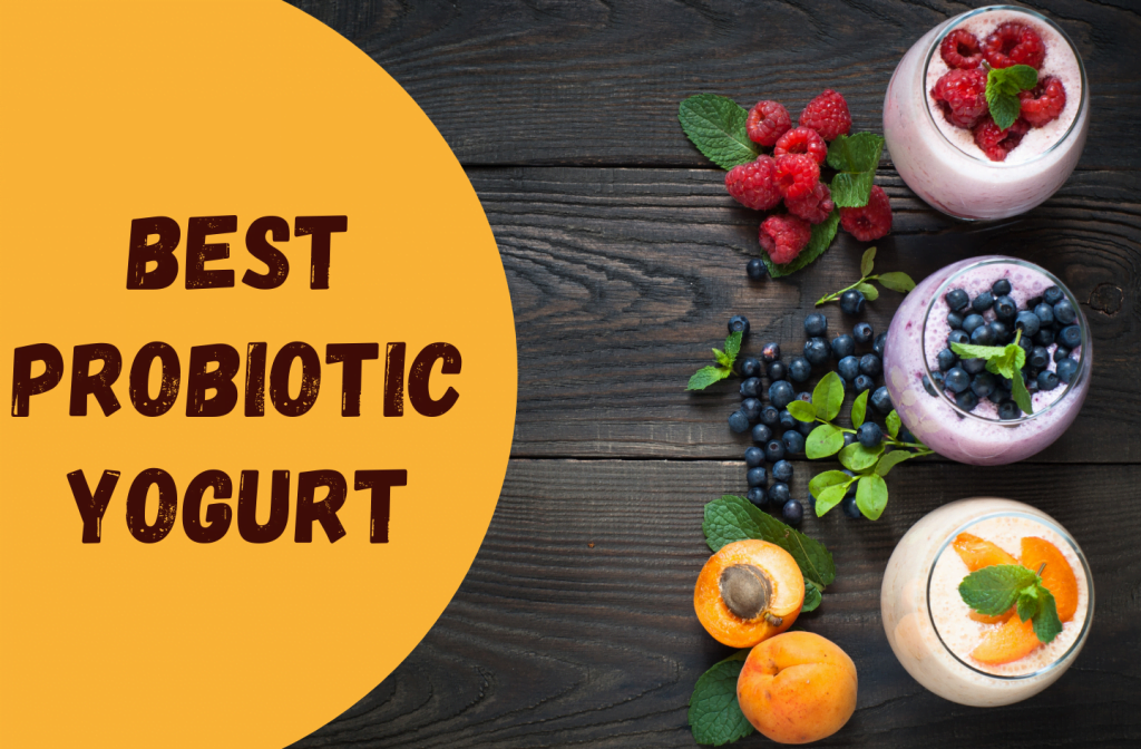 BEST Probiotic YOGURT