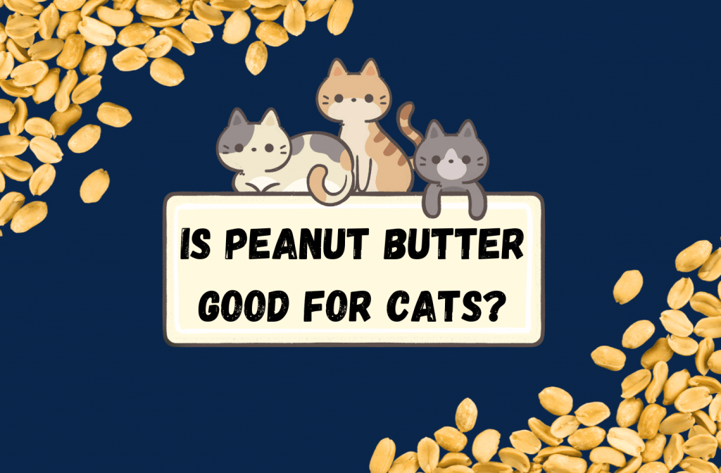 Is peanut butter good for cats