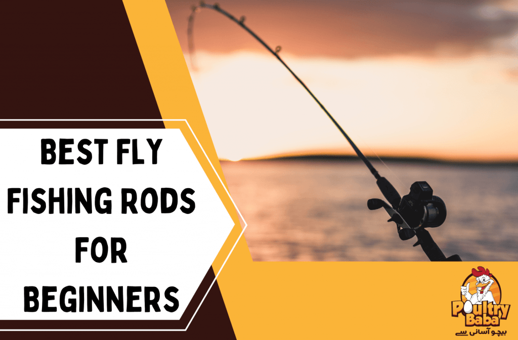 Best Fly Fishing Rods For Beginners
