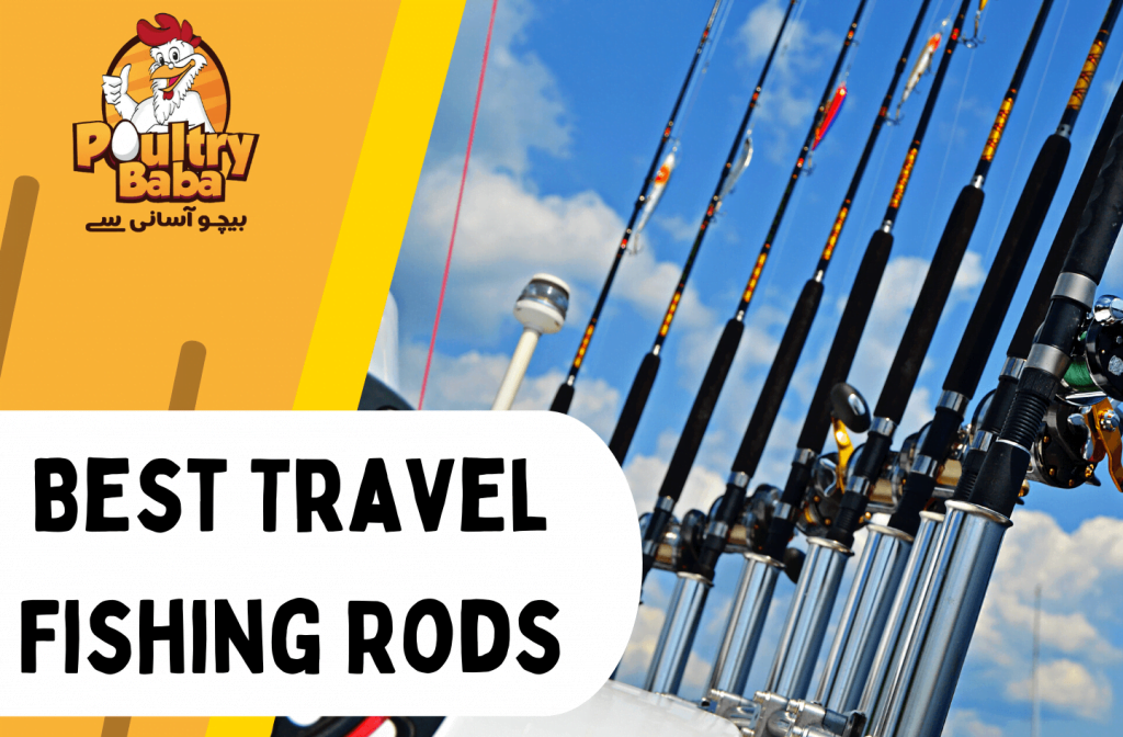 Best Travel Fishing Rods
