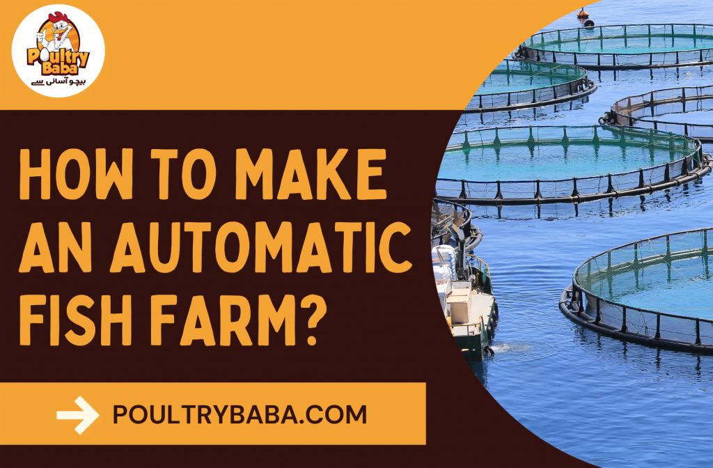 HOW TO MAKE AN AUTOMATIC FISH FARM