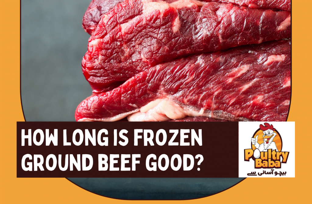 how long is frozen ground beef good