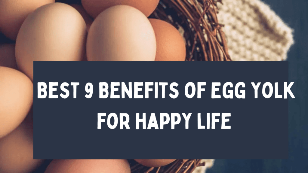 9 Benefits of Egg Yolk