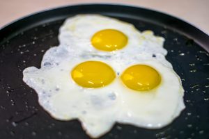 main proteins in egg yolk