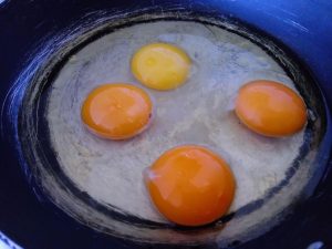protien in egg yolk