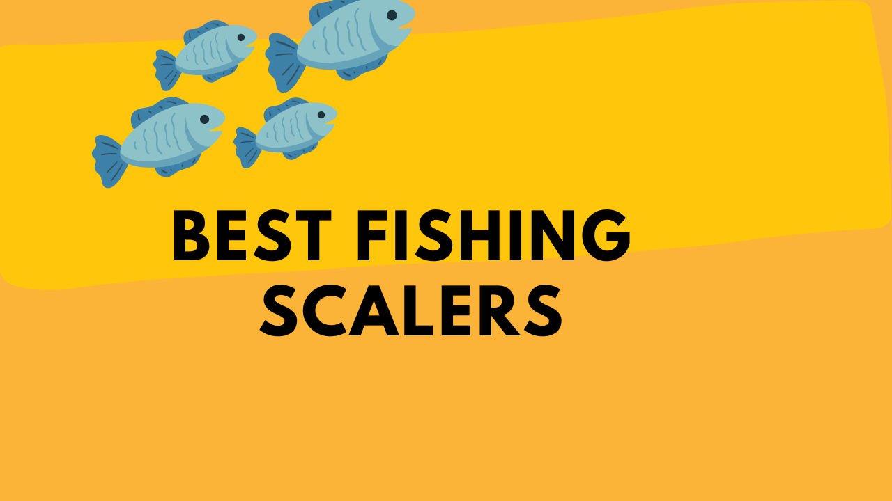 Best Fish Scaler