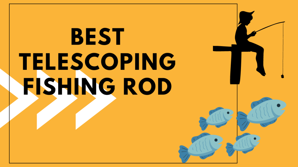 Best Telescoping Fishing Rod